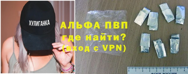 гашик Осташков