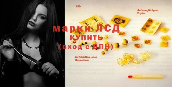 гашик Осташков