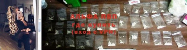 гашик Осташков