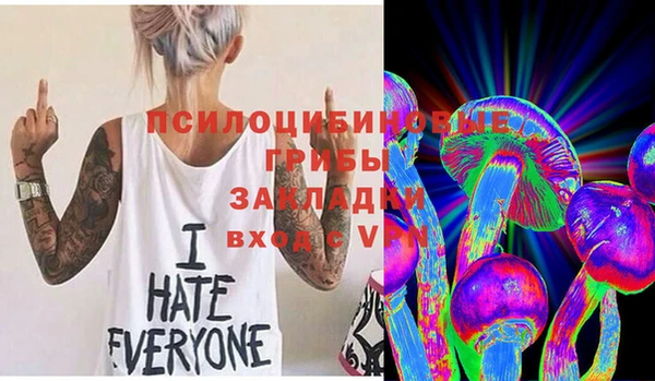 кристаллы Осинники