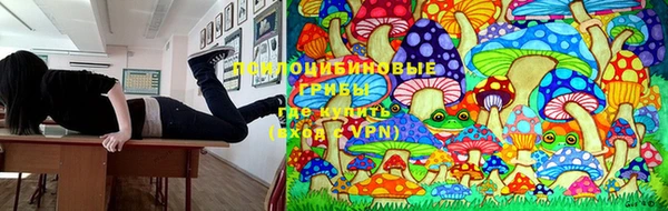 кристаллы Осинники