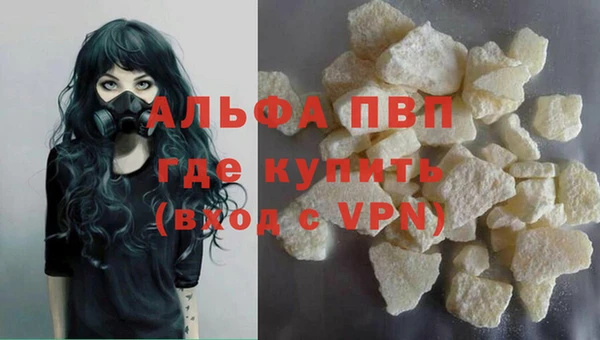 гашик Осташков