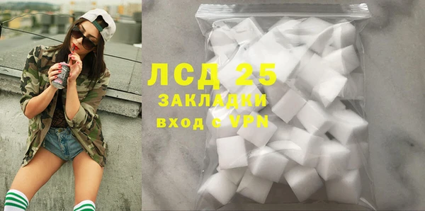 гашик Осташков