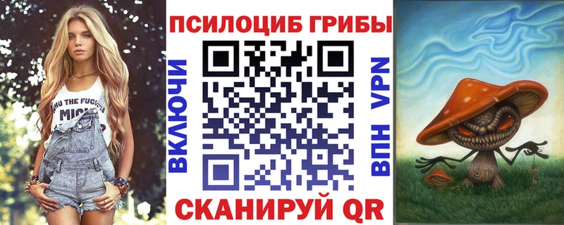 где можно купить наркотик  Сысерть  кракен ссылки  Галлюциногенные грибы Psilocybine cubensis 
